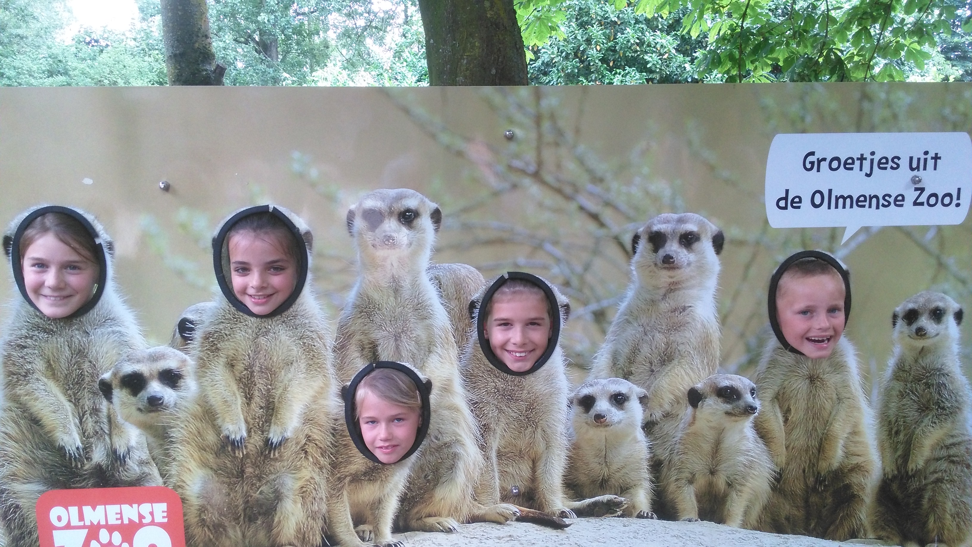 Het vierde leerjaar houdt een spreekbeurt in de Olmense Zoo!